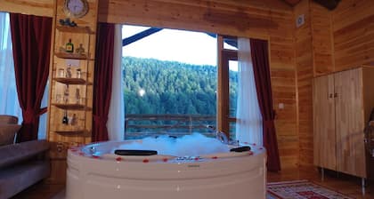 Abant Kartal Yuvasi Hotel