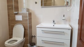A bathroom with a toilet, a sink, and a mirror.