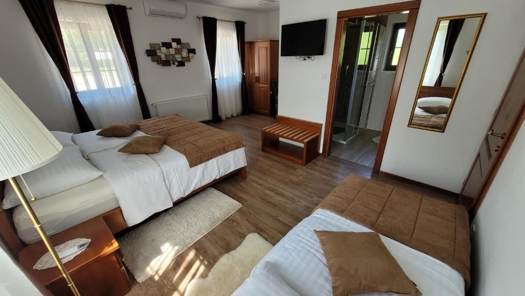 Une chambre d’hôtel avec deux lits, une télévision, un miroir et un espace douche.