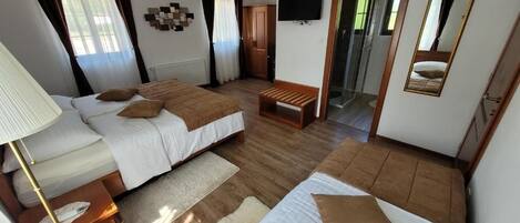 Une chambre d’hôtel avec deux lits, une télévision, un miroir et un espace douche.