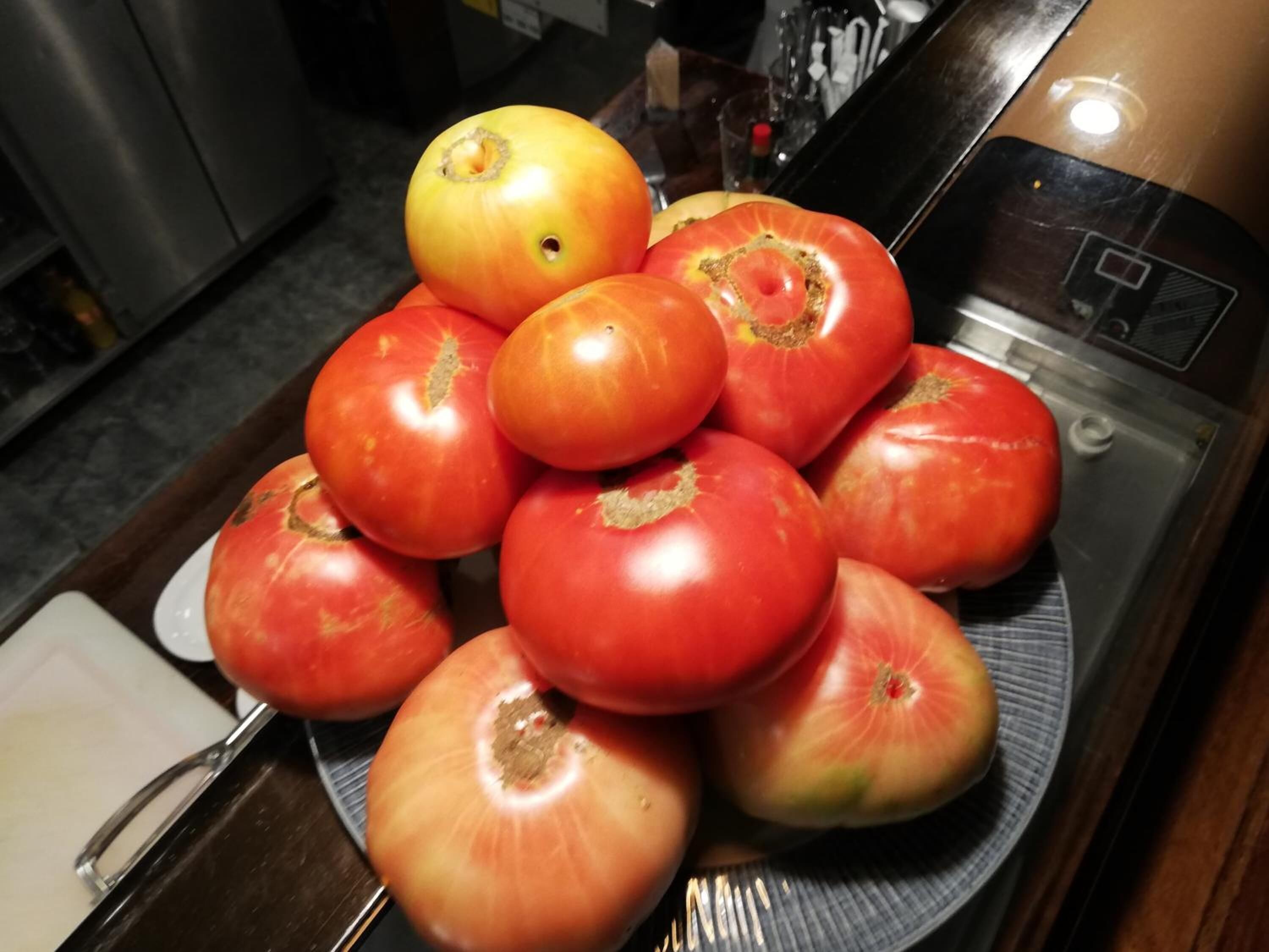 Un plato de tomates y un tomate amarillo sobre una encimera de cocina.