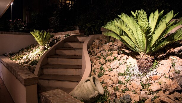 Escadaria externa iluminada à noite, com parede de pedra e plantas.