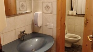 A bathroom with a sink, mirror, and toilet. - Albergo Nido Verde (Lavarone)