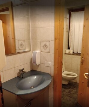 Double or Twin Room | Bathroom | Shower, rainfall showerhead, free toiletries, hair dryer