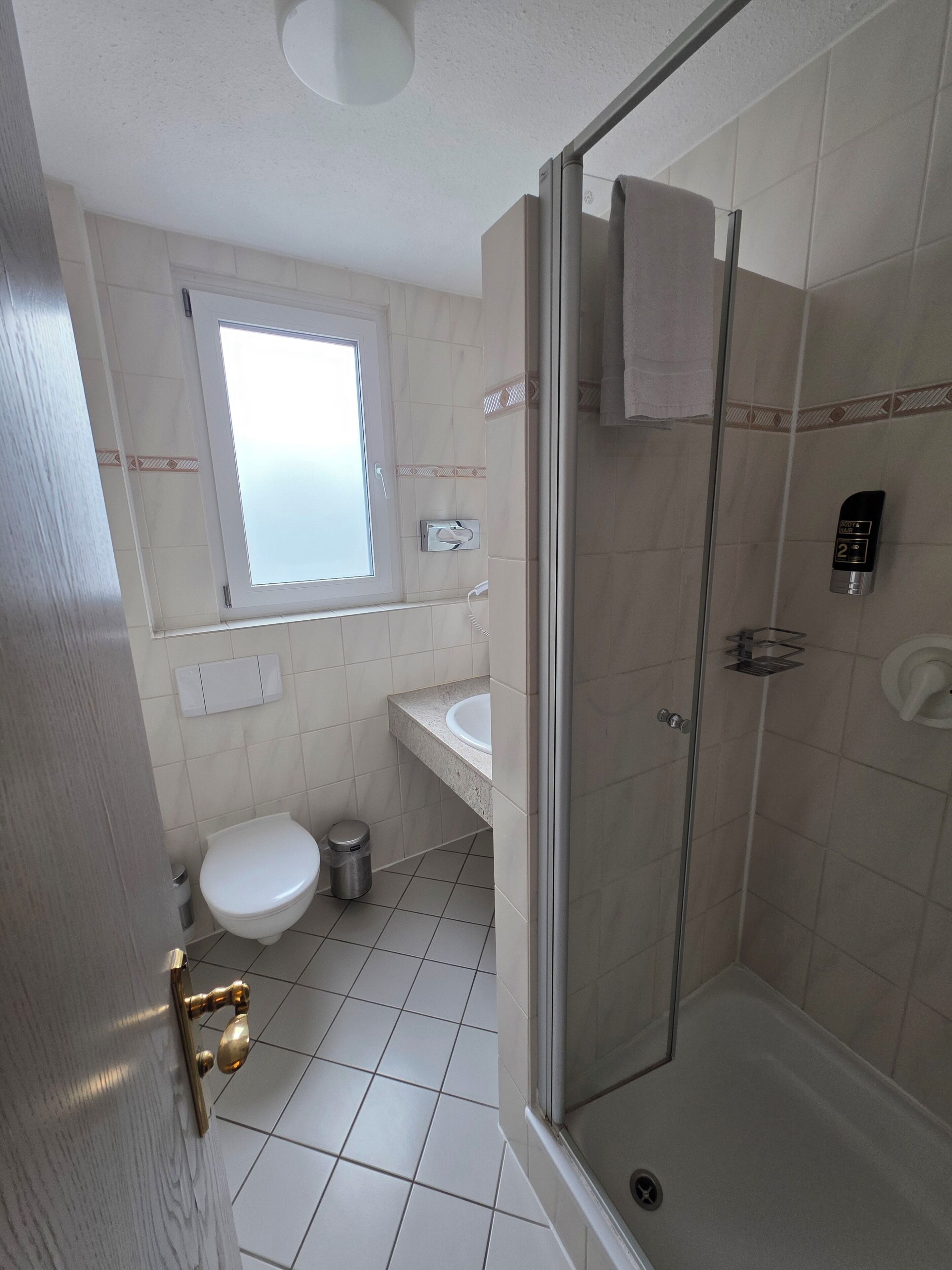 Une salle de bain avec des toilettes, un lavabo et une douche.