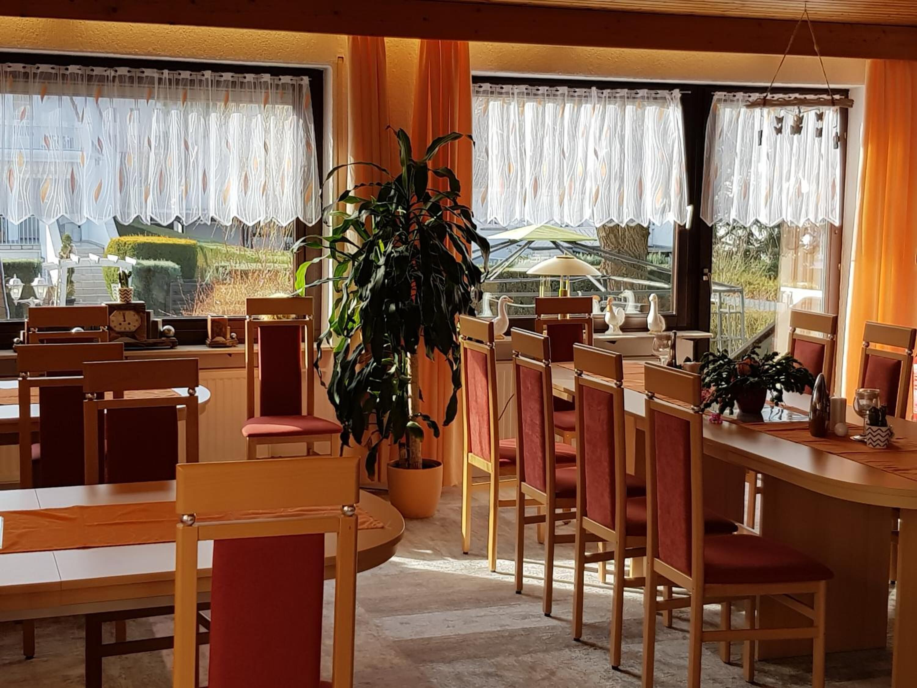 A dining area with wooden tables and chairs, a large potted plant, and a view of a garden through the windows.