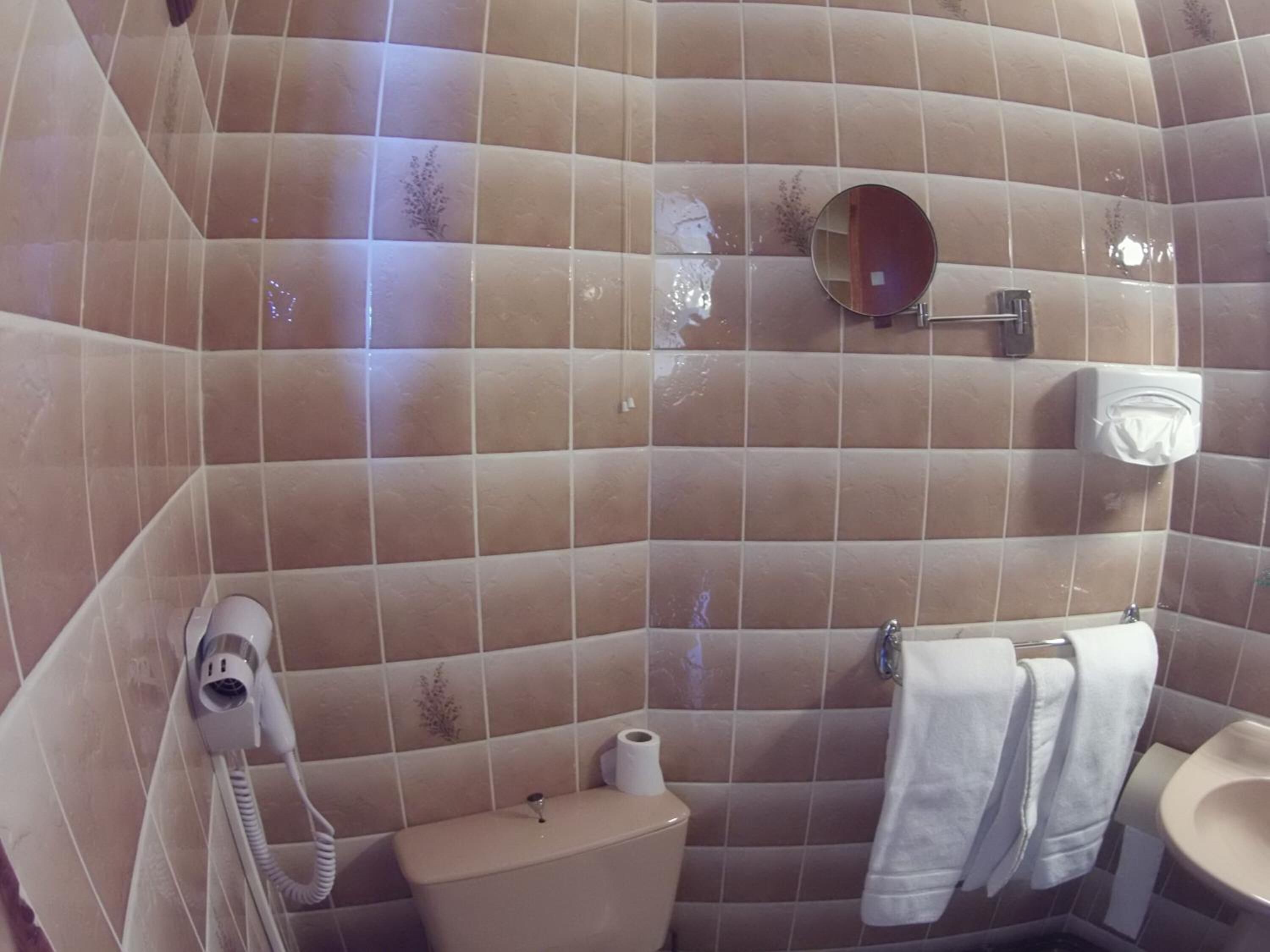 combined shower/bathtub, free toiletries, hair dryer, towels