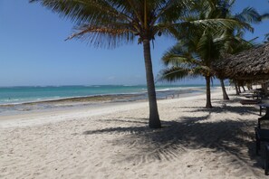 A beach with palm trees and a thatched-roof structure.