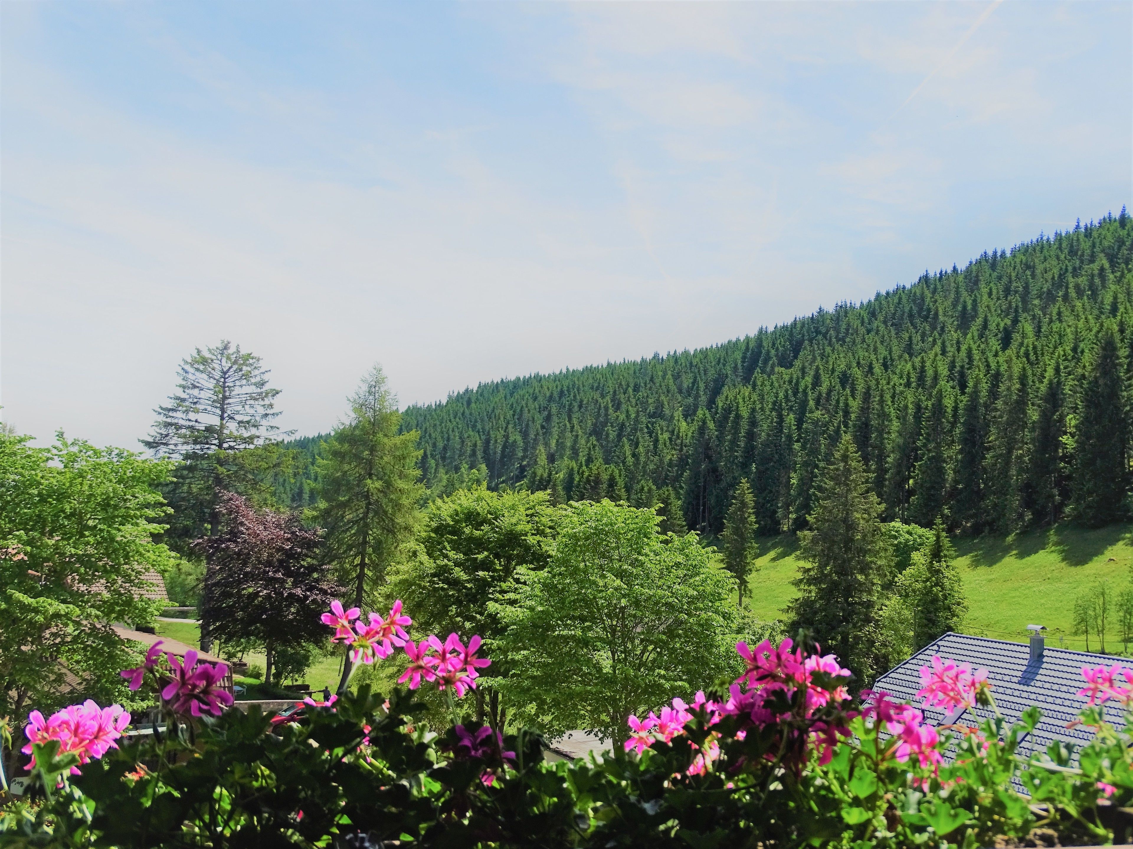 Standard Double Room | Valley view