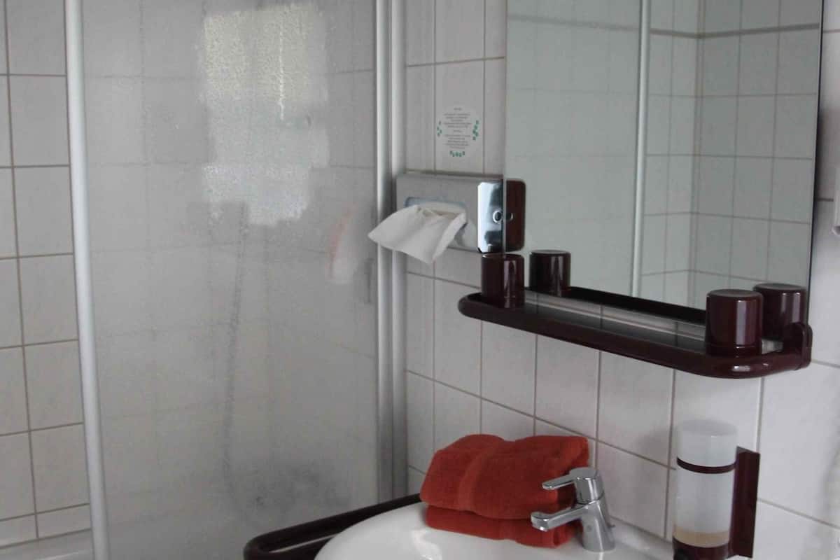 standard double room | bathroom | hair dryer, towels