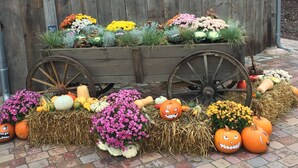 A wooden cart filled with colorful flowers and pumpkins, placed on a brick pavement. - Hotel Bergschlösschen (Jueterbog)