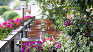 A covered outdoor seating area with wooden benches and a variety of flowering plants. - Hotel Gasthof Huber (Ebersberg)