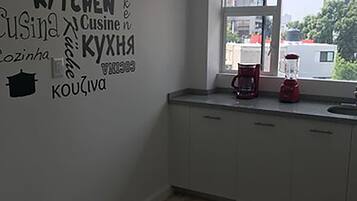 Design Apartment, 1 Queen Bed, Smoking | Private kitchen