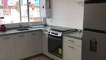 Apartamento design, 1 cama Queen, para fumantes | Cozinha privada | Geladeira, micro-ondas, cooktop, liquidificador
