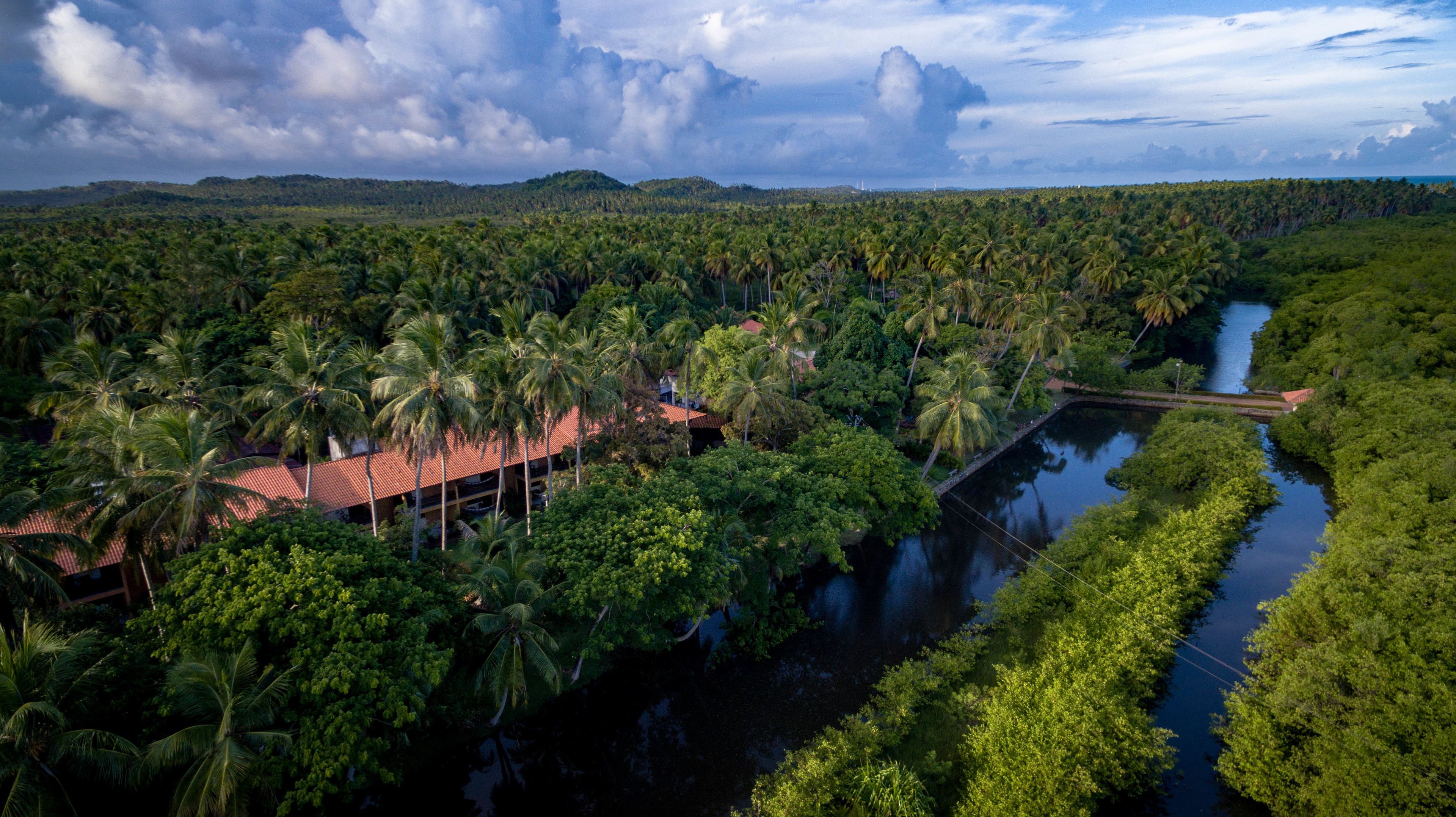 Um resort tropical com um rio serpenteando por ele, rodeado por palmeiras densas e um cenário montanhoso.