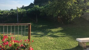 A grassy outdoor area with a wooden fence, a stone wall, and a small wooden structure. - La Bella Vigna (Marano di Valpolicella)