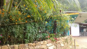 A stone wall with a variety of plants and flowers, including marigolds and other greenery. - Nature's Rest (Ella)
