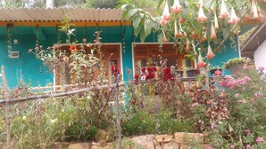 A rustic building with a green facade, wooden shutters, and a garden with various plants and hanging flowers. - Nature's Rest (Ella)