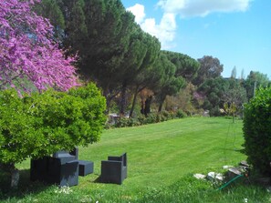 Property grounds - Casa Grande (Constantina)