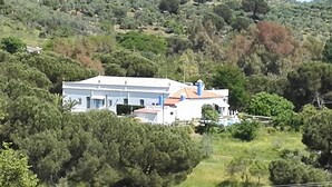 A large white building with a red roof, surrounded by dense greenery and trees. - Casa Grande (Constantina)