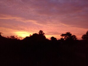 Habitación Deluxe doble | Pesca