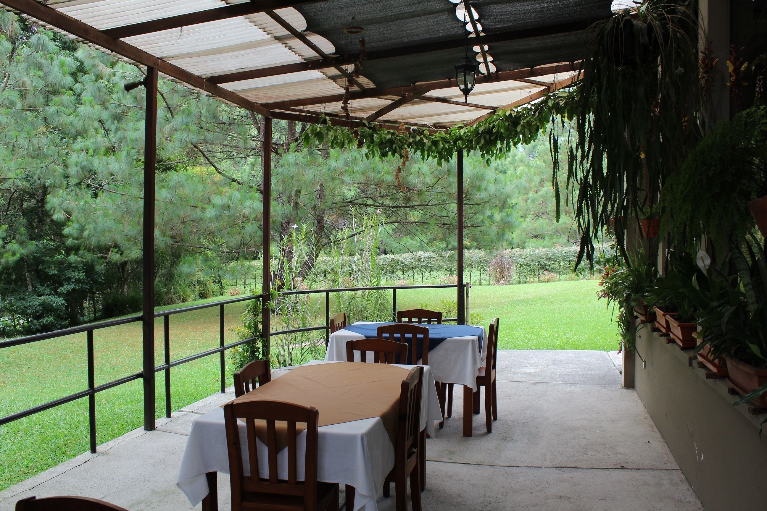 breakfast, lunch, dinner served; local and international cuisine