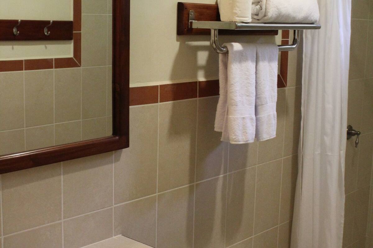 shower, free toiletries, hair dryer, towels