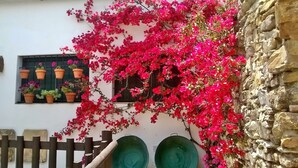 Un edificio con pared de piedra, cerca de madera y ventana con plantas en macetas.