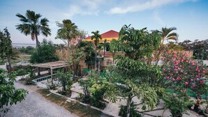 Un jardín tropical con diversas plantas y un pabellón.