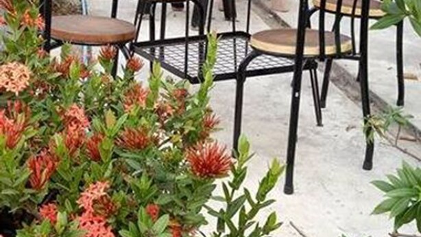 Una mesa redonda con sillas, rodeada de plantas y flores.