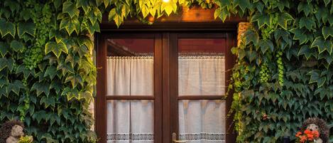 A wooden double door with a curtain, flanked by large barrels, and surrounded by lush green foliage and hanging flowers.