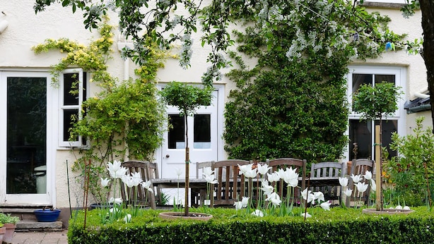 A garden with white flowers and wooden chairs. - Heron House (Tiverton)