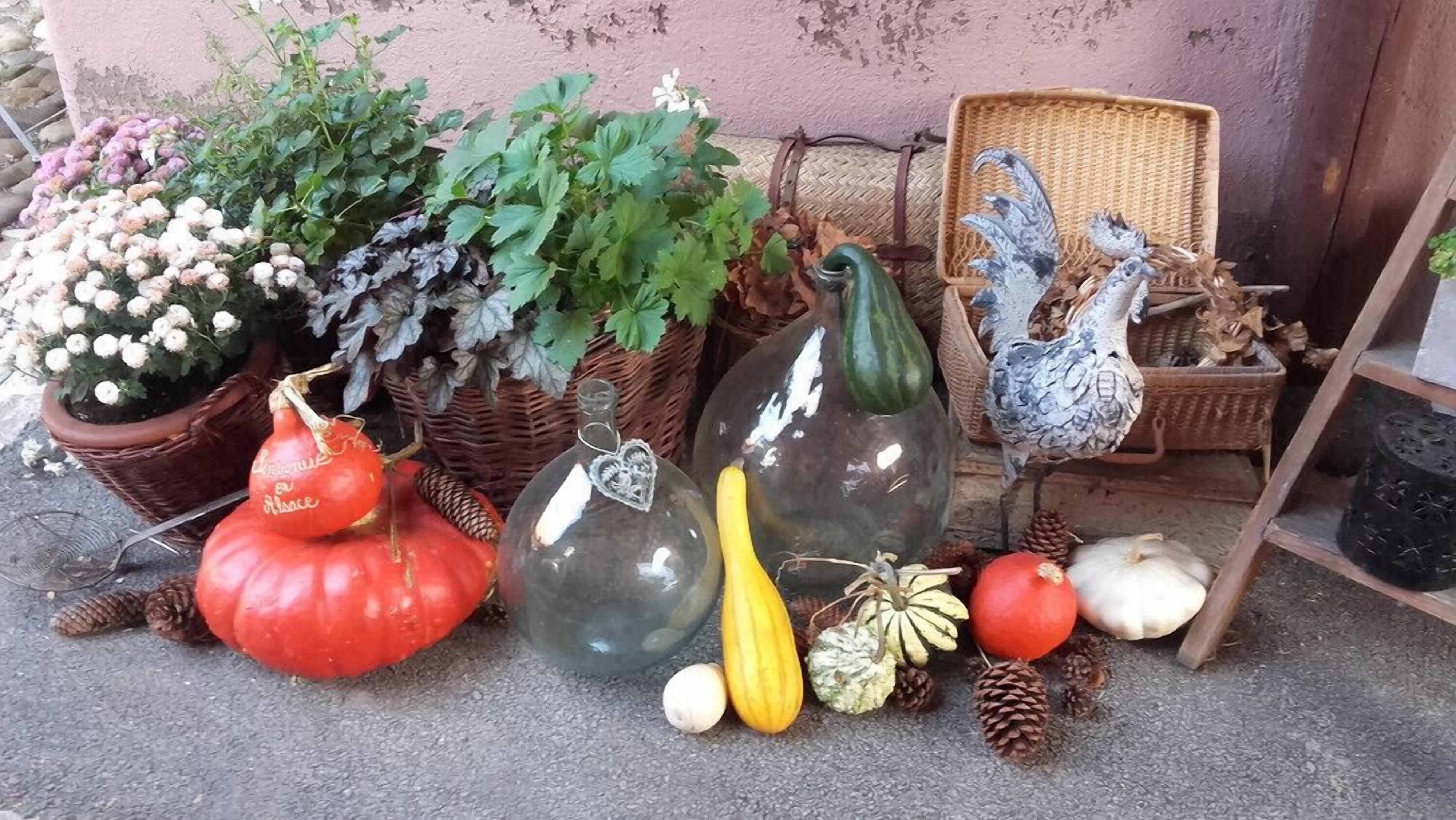 Variedad de elementos decorativos como calabazas, zapallos y una escultura de pájaro, dispuestos sobre una superficie de hormigón.