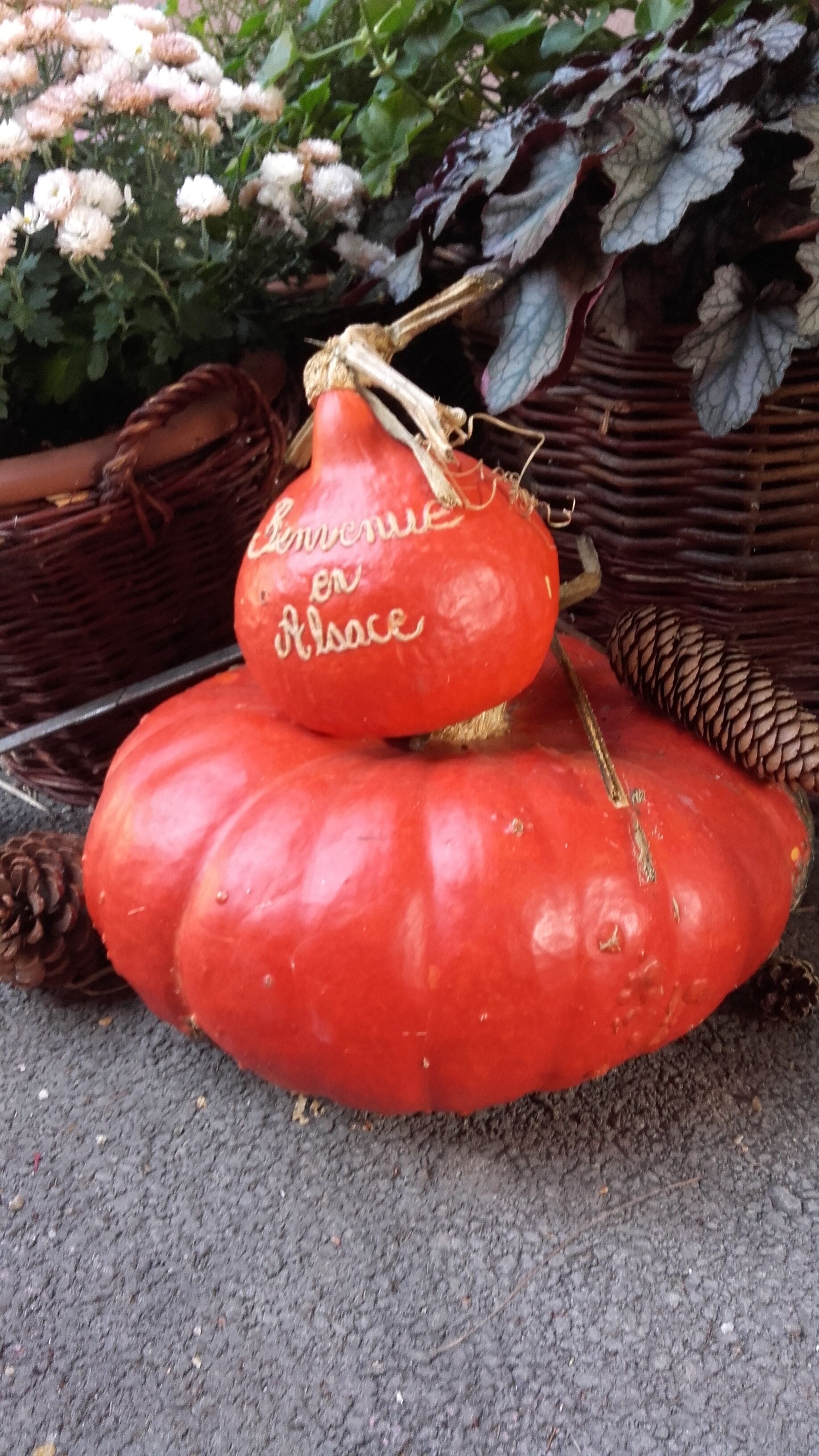 Foto - Coté Cour Bischwihr Colmar