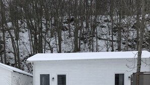 A single-story white house with a snow-covered roof and a small front yard. - Hills Loft Cottage with Sauna (Gränna)