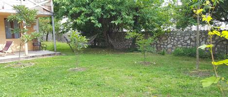 Utsikt fra overnattingsstedet