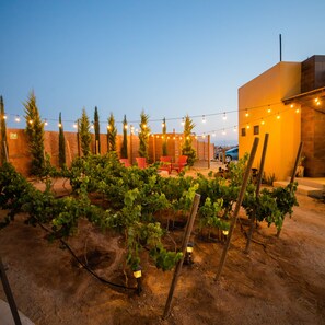 Exterior detail - Cuatro Lunas (Valle de Guadalupe)