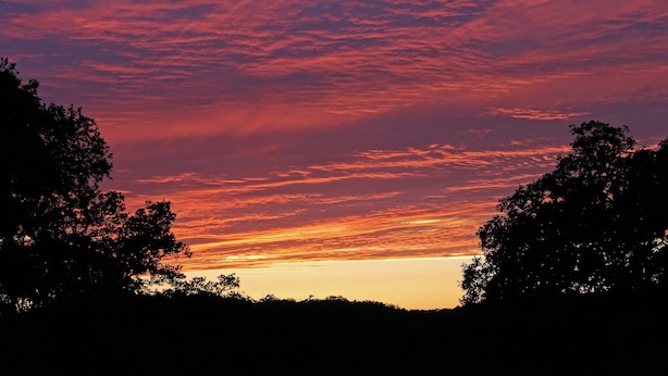 A sunset with a sky filled with red and orange clouds, silhouetted trees, and a flat horizon. - Prow'd House Bed & Breakfast (Wimberley)