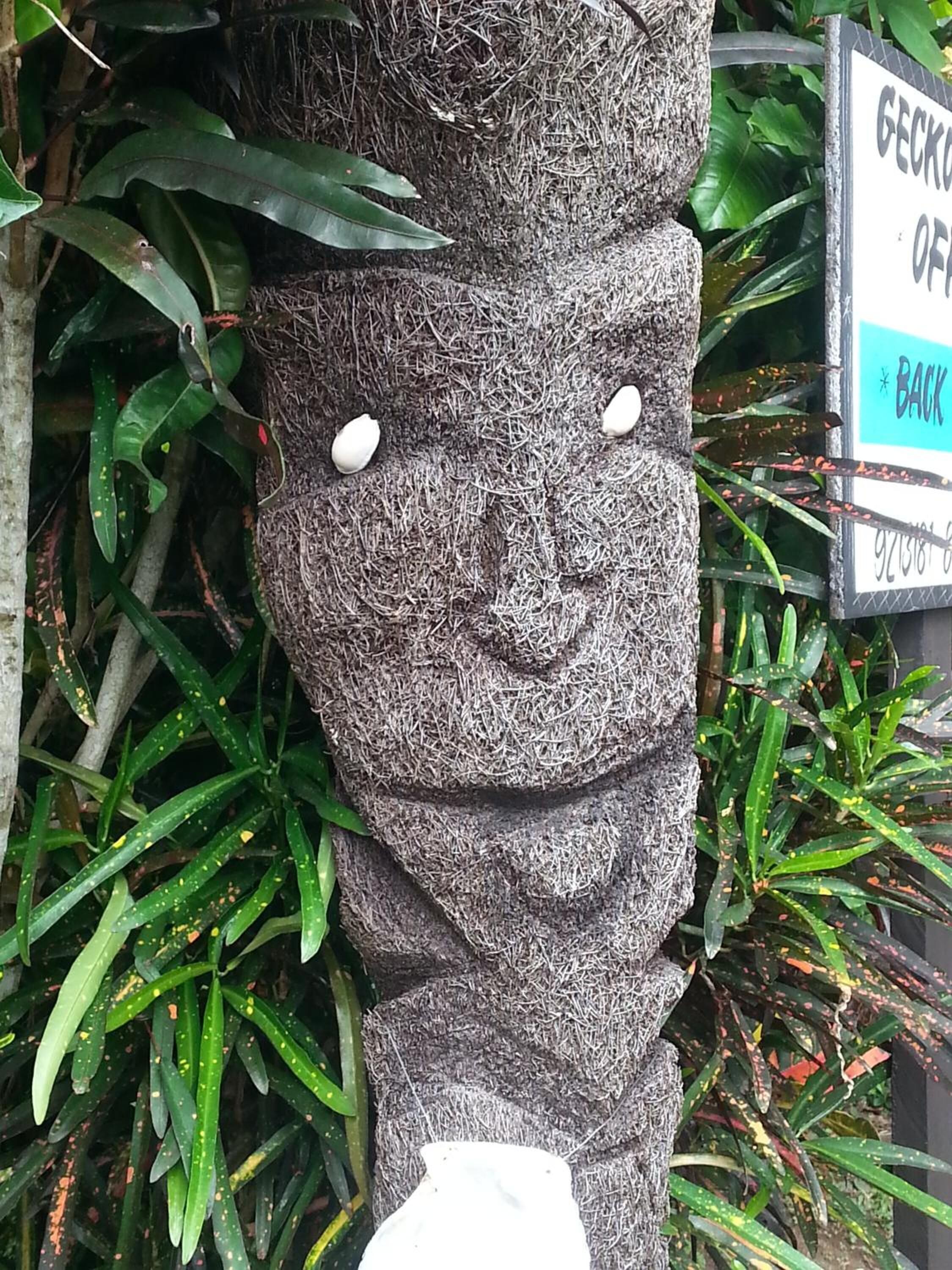Una escultura de piedra con rostro, rodeada de follaje.