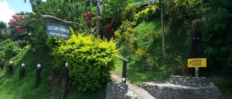 Skilt for Gecko Lodge Private Hotel omgivet af frodig vegetation og en stentrappe.