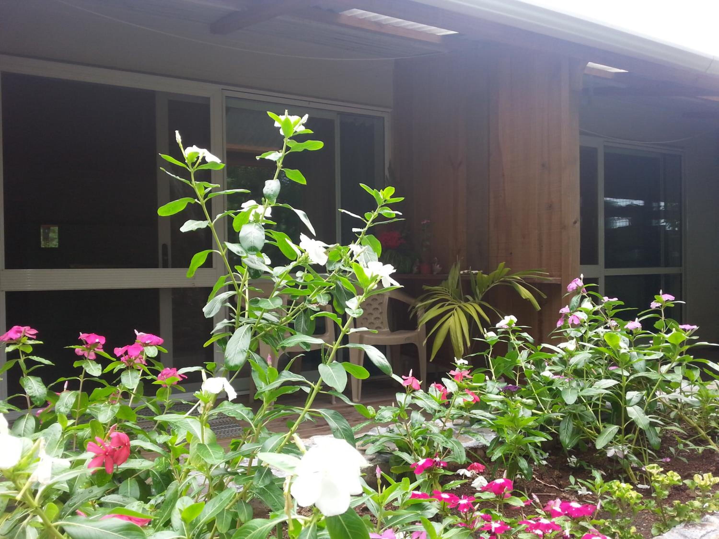 A garden with various flowering plants in front of a building with large windows.