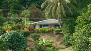 A house surrounded by lush greenery and a body of water. - Gecko Lodge Fiji Private Hotel (Savusavu)