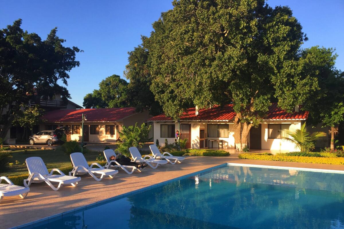 Sábanas de algodón egipcio, ropa de cama de alta calidad y cubrecamas