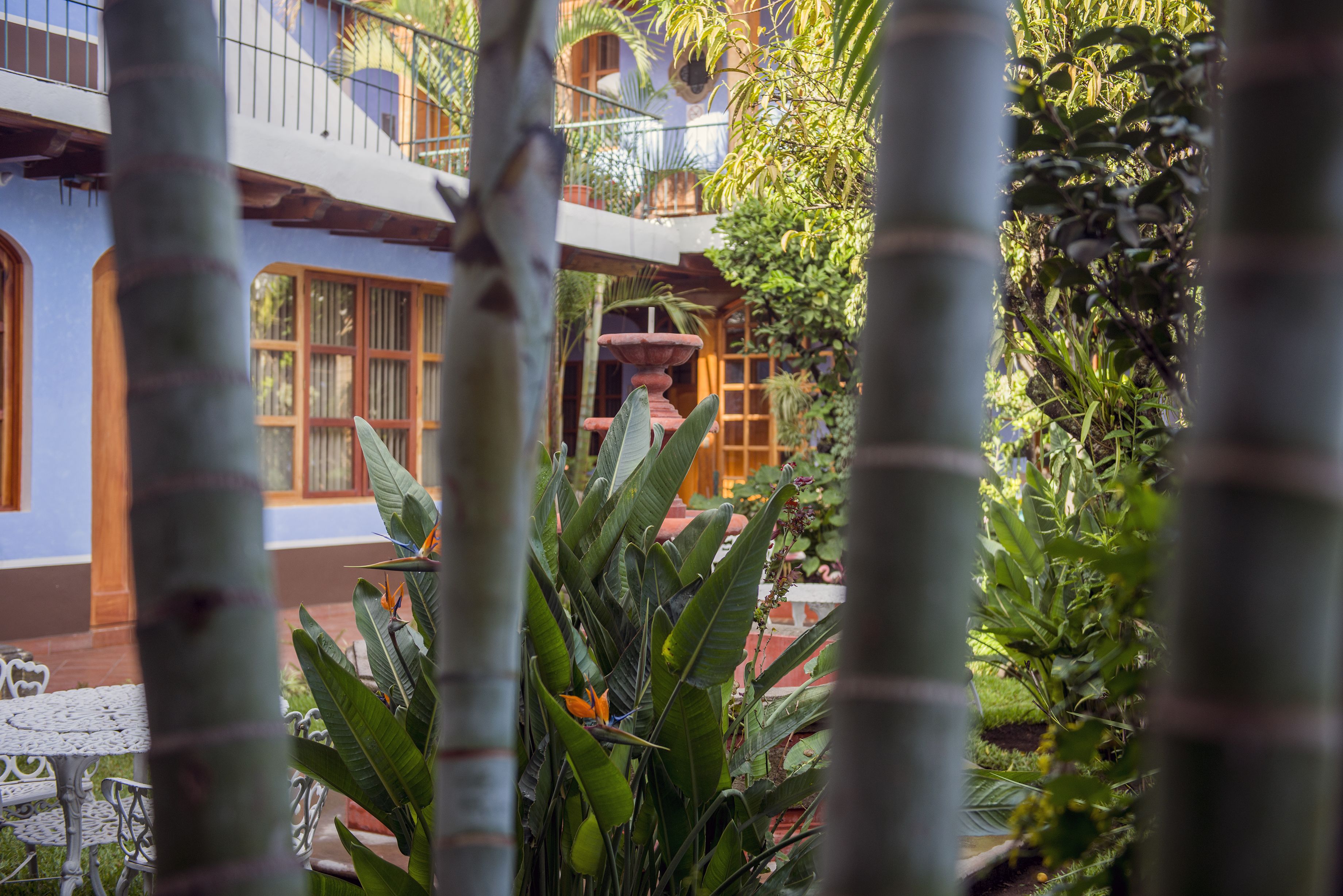 Photo - Hotel Casa de las Fuentes