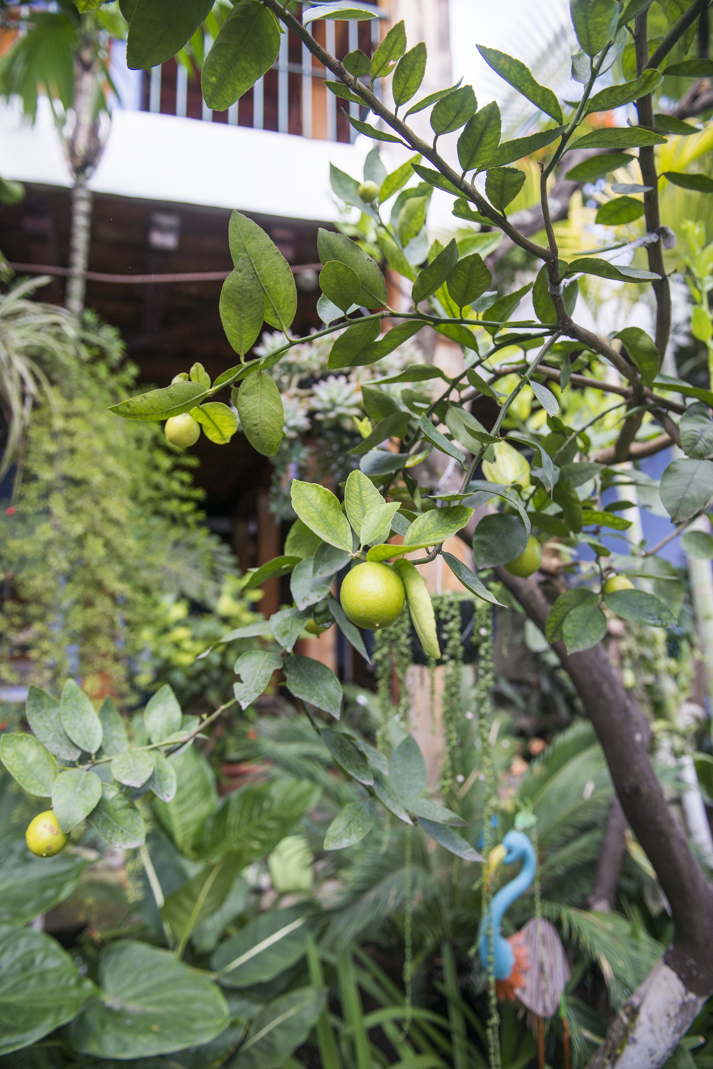 Foto - Hotel Casa de las Fuentes