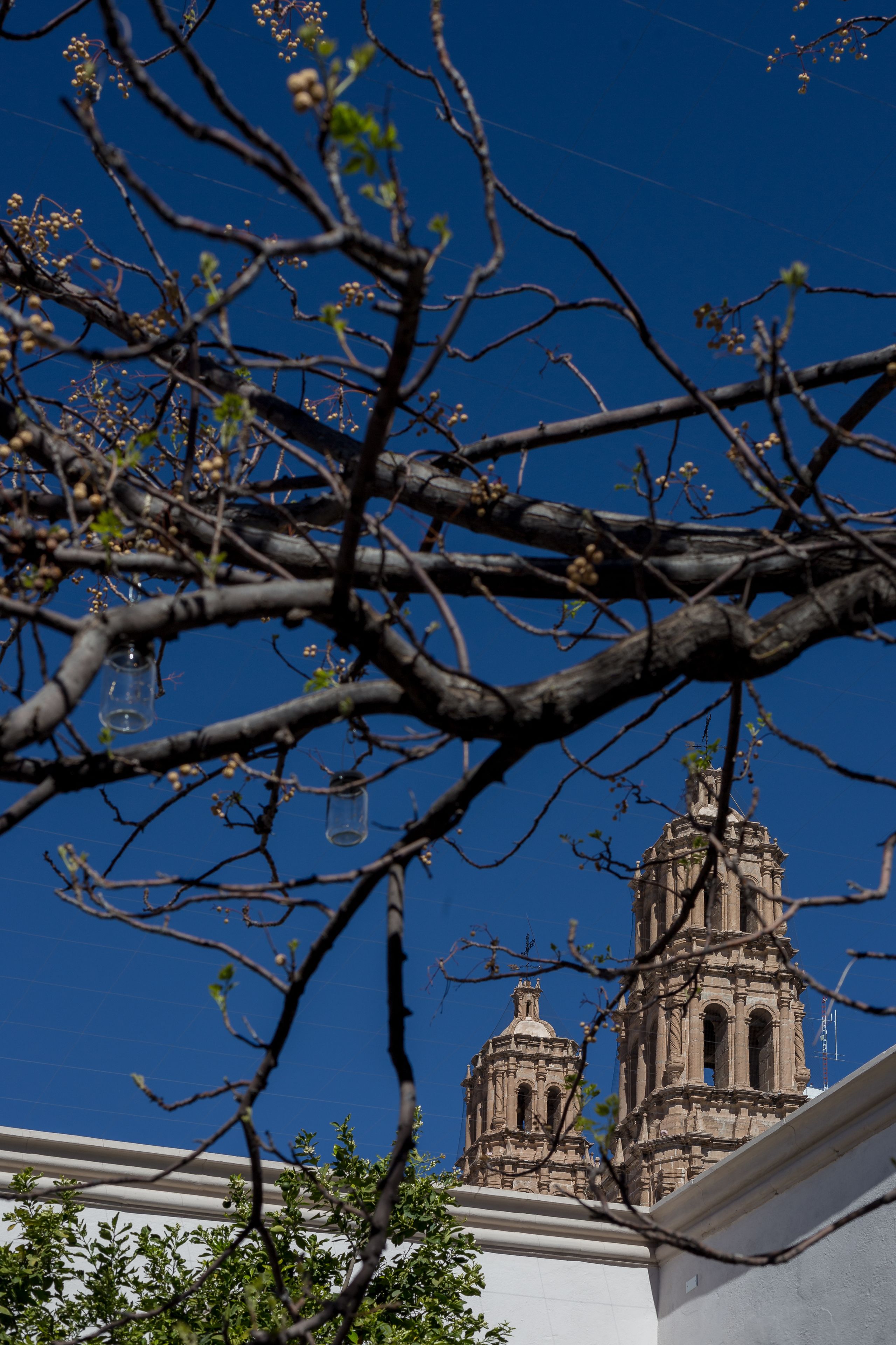 Foto - Central Hotel Boutique