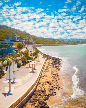 Playa en los alrededores y camastros