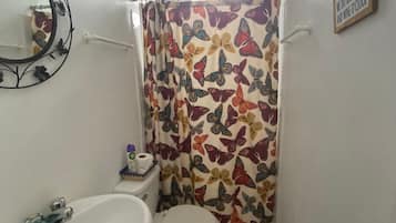 Shower, towels, toilet paper