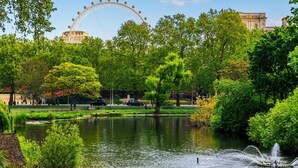 Un parc doté d’une grande roue, d’un étang avec une fontaine et d’une végétation luxuriante.