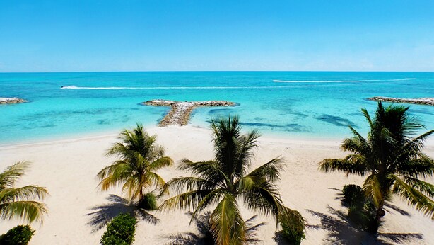 Una playa con agua turquesa cristalina, arena blanca y palmeras.